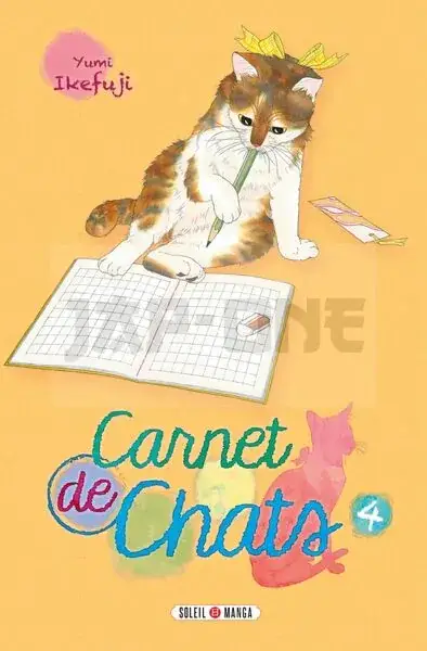 Acheter Direct CARNET DE CHATS T04