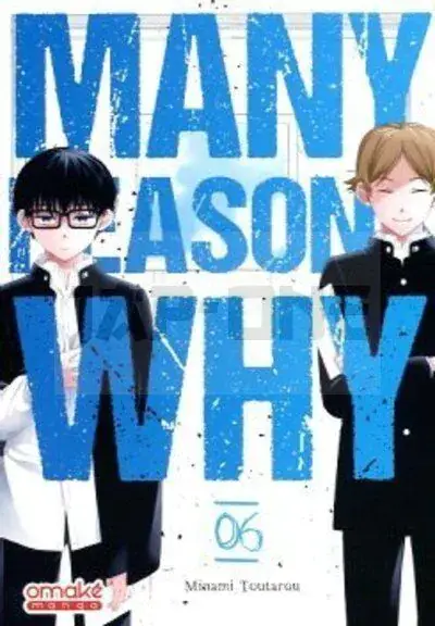 Jusqu'à Épuisement Des Stocks MANY REASONS WHY - TOME 6 (VF)