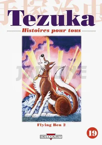 TEZUKA, HISTOIRES POUR TOUS T19 Expédition Rapide
