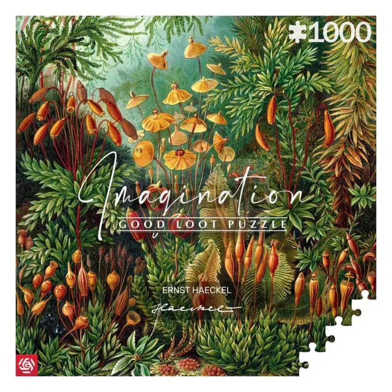 Ernst Haeckel puzzle Imagination Muscinae (1000 pièces) Bon Plan