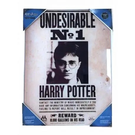 Poster en verre indésirable nº1 Harry Potter Nouvel Arrivage