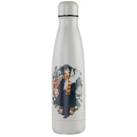 Bouteille Harry Potter Manga 500 ml Meilleur Prix